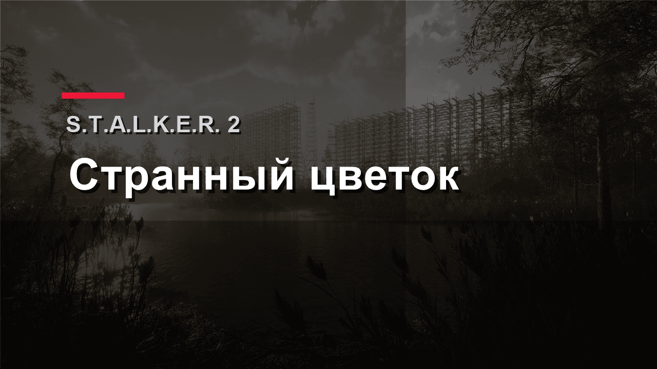 Обложка гайда по артефакту Странный цветок в S.T.A.L.K.E.R. 2