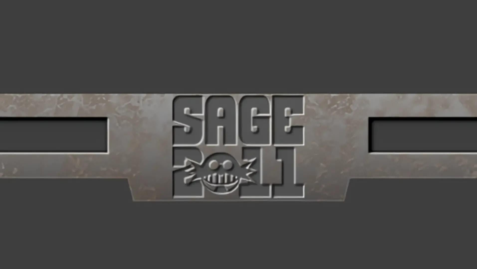 SAGE 2011