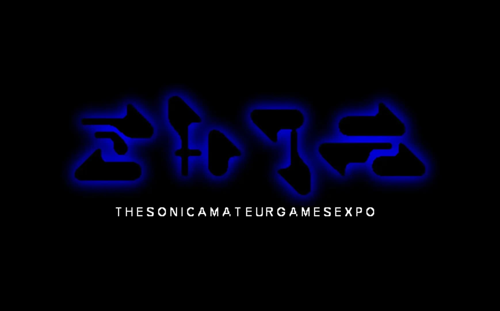 Sonic Amateur Games Expo