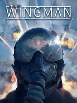 Обложка Project Wingman