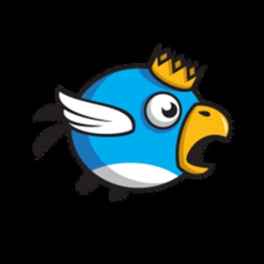 Обложка Bird Fall
