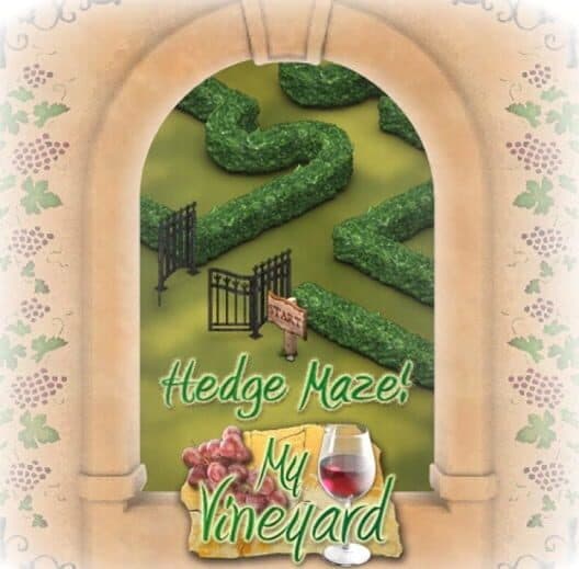 Обложка My Vineyard