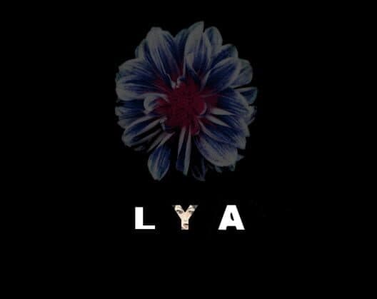 Обложка Lya