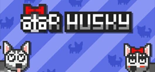 Обложка Mr Husky