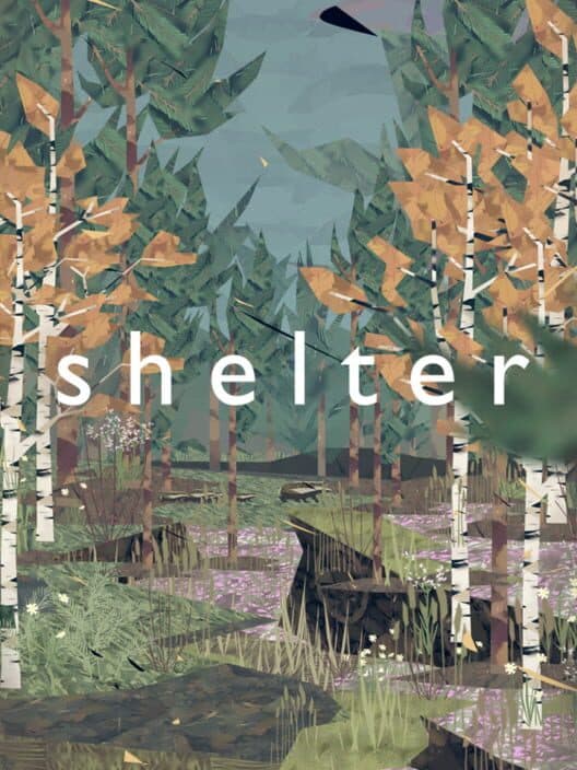 Обложка Shelter