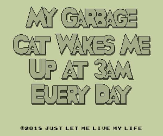 Обложка My Garbage Cat Wakes Me Up At 3AM Every Day