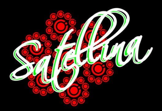 Обложка Satellina