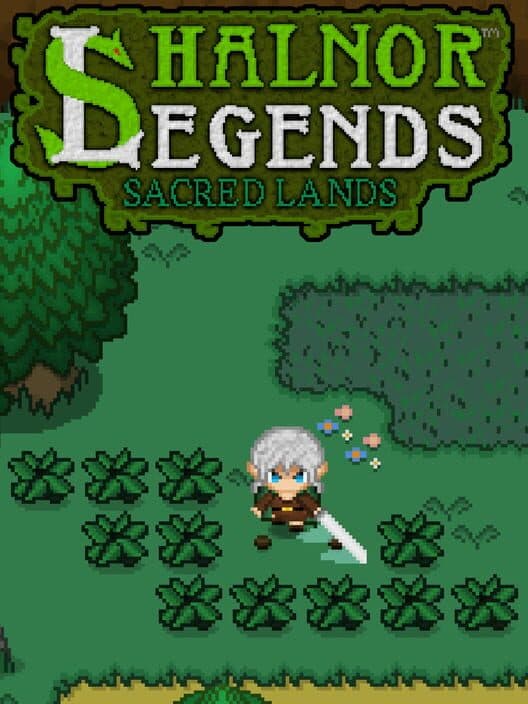 Обложка Shalnor Legends: Sacred Lands