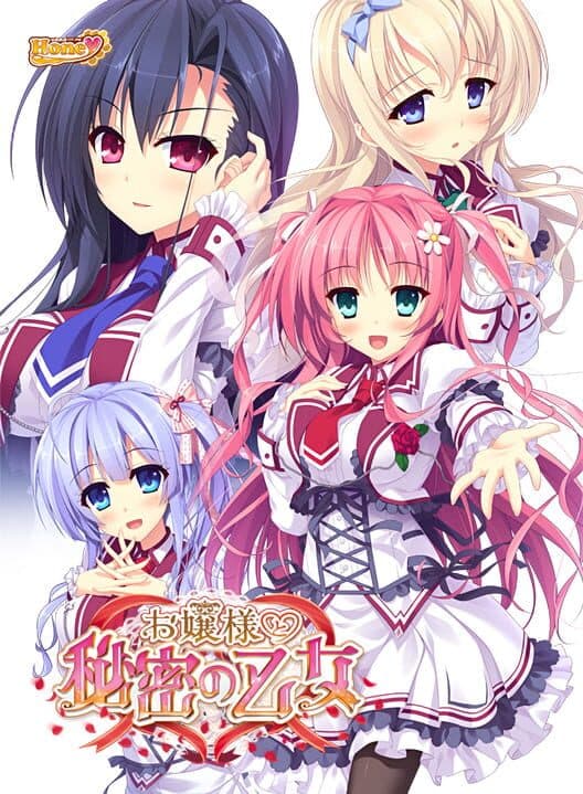 Обложка Ojou-sama to Himitsu no Otome