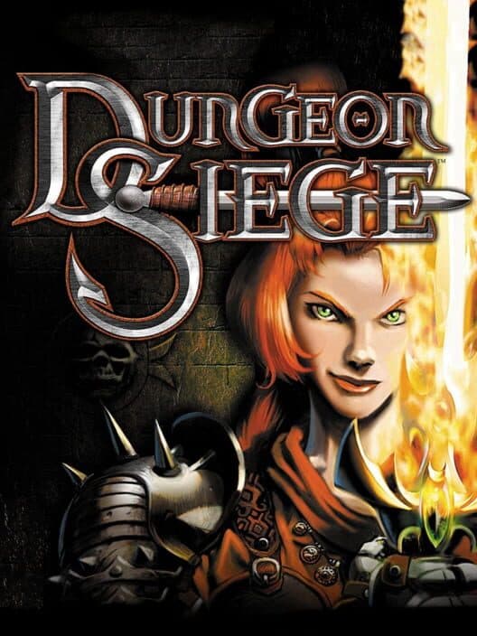 Обложка Dungeon Siege