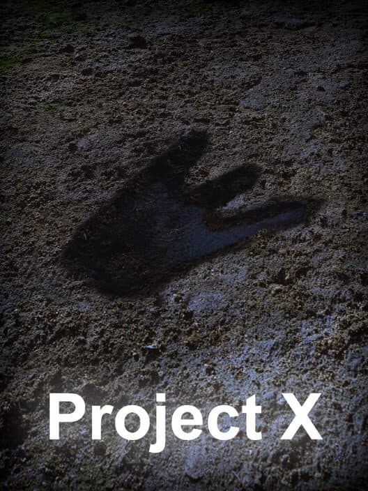 Обложка Project X