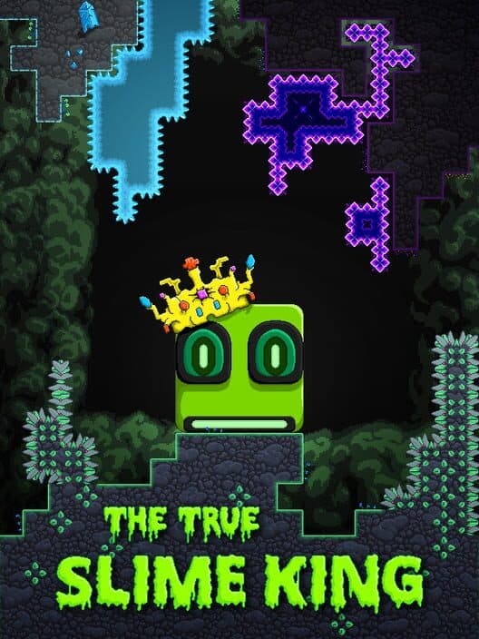 Обложка The True Slime King