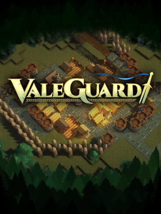 Обложка ValeGuard