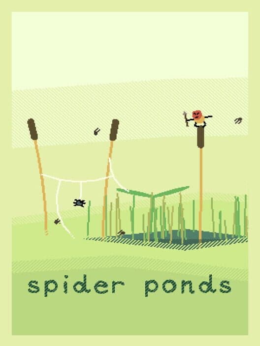 Обложка Spider Ponds