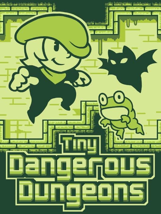 Обложка Tiny Dangerous Dungeons