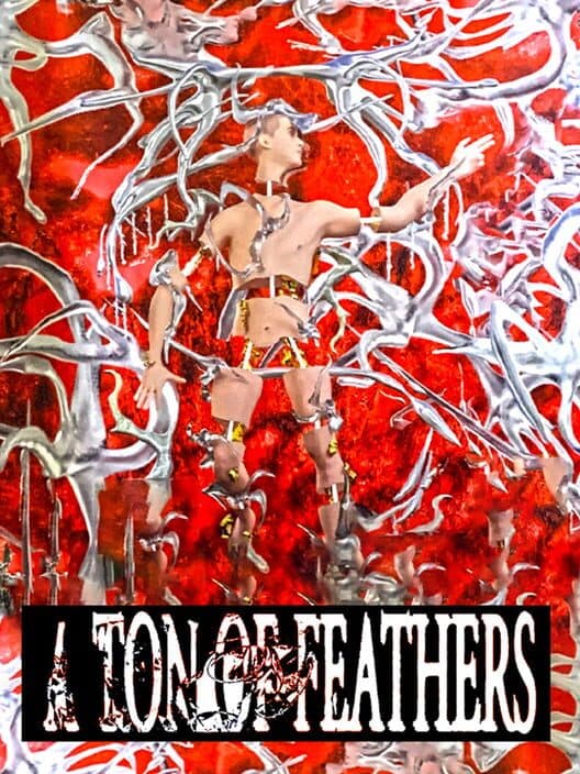 Обложка A Ton of Feathers