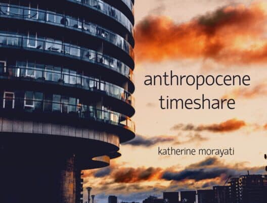 Обложка Anthropocene Timeshare