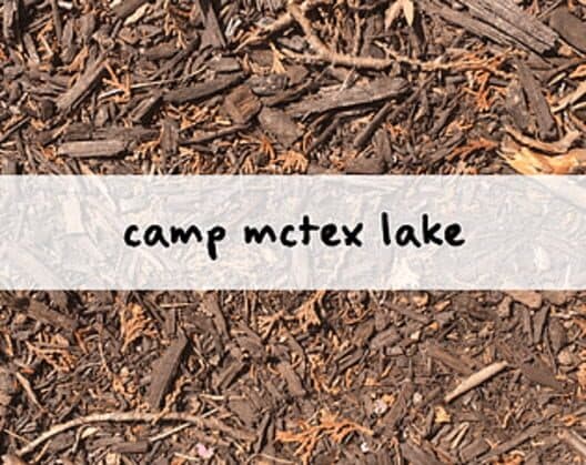 Обложка Camp McTex Lake