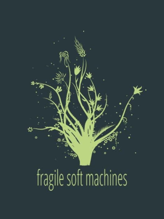 Обложка Fragile Soft Machines