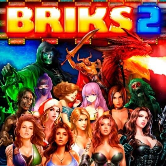 Обложка Briks 2