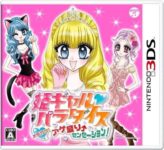 Обложка Hime Girl Paradise: Mechikawa! Age Sakari Sensation!
