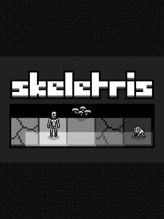 Обложка Skeletris