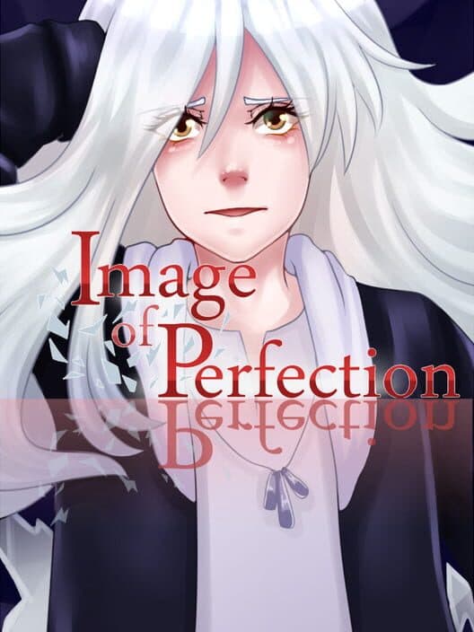 Обложка Image of Perfection
