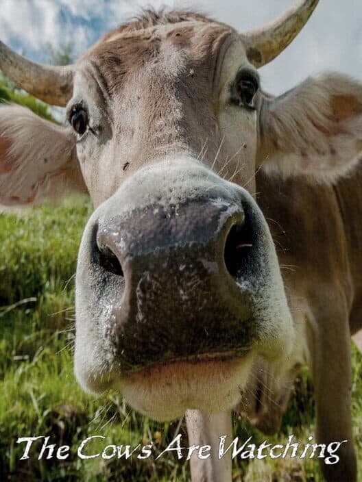Обложка The Cows Are Watching