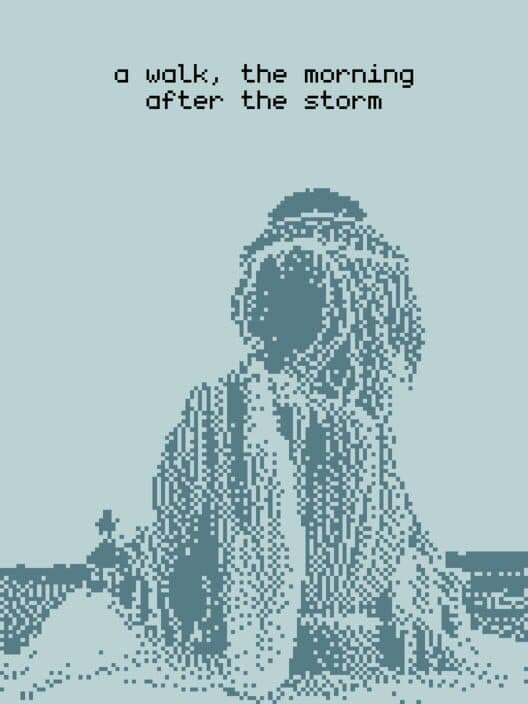 Обложка A Walk, the Morning After the Storm