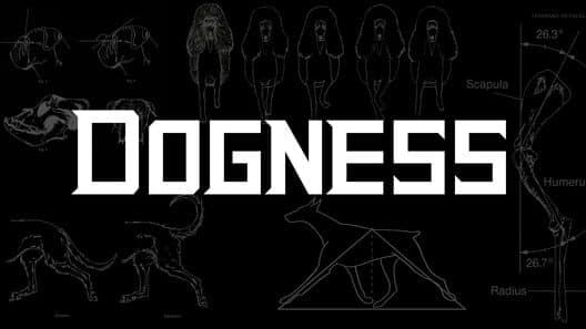 Обложка Dogness