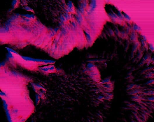 Обложка Wolfgirls in Love