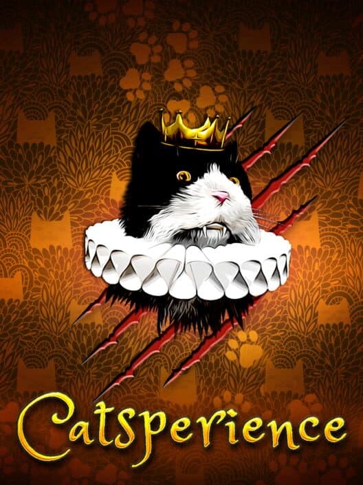 Обложка Catsperience