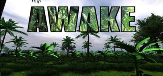 Обложка Awake