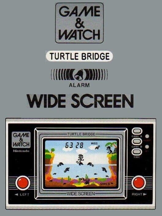 Обложка Turtle Bridge