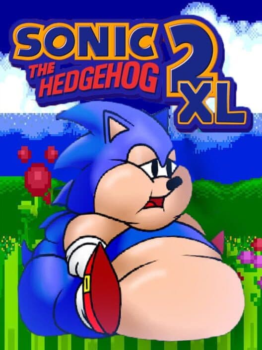 Обложка Sonic 2 XL