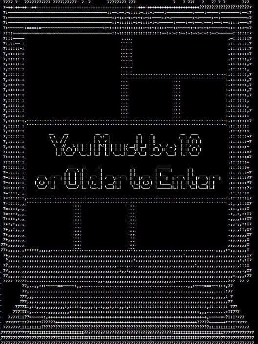 Обложка You Must be 18 or Older to Enter