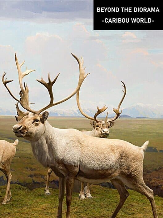 Обложка Beyond the Diorama: Caribou World