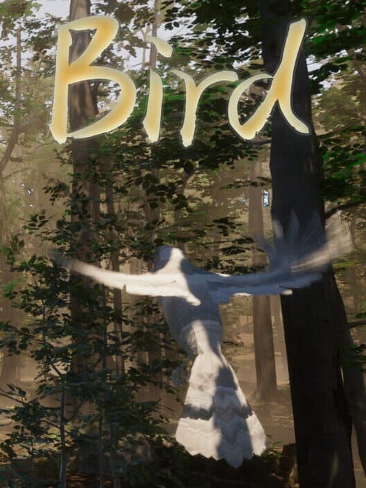Обложка Bird