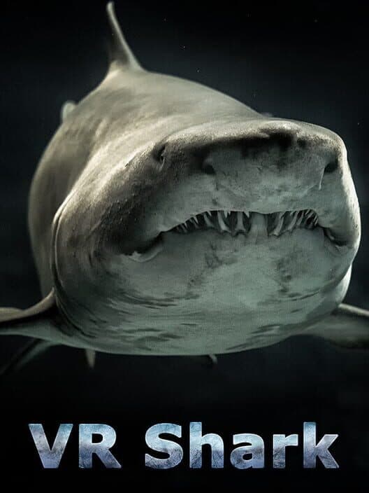 Обложка VR Shark