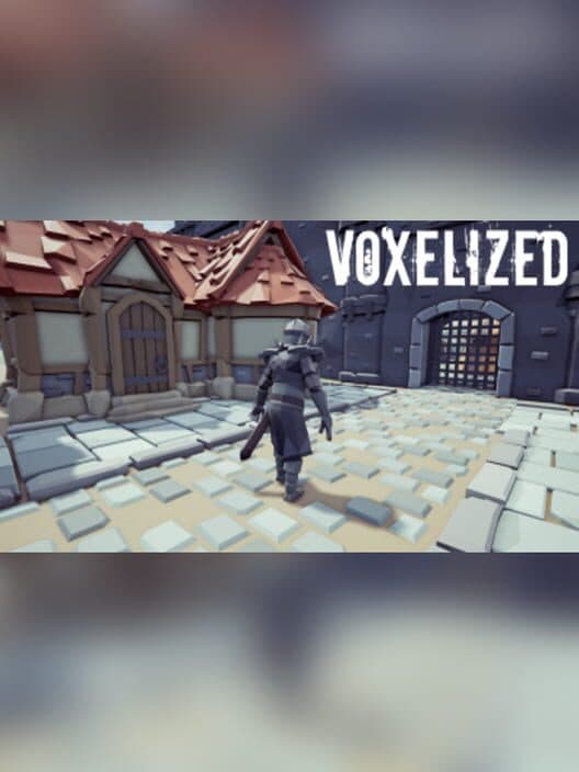 Обложка Voxelized