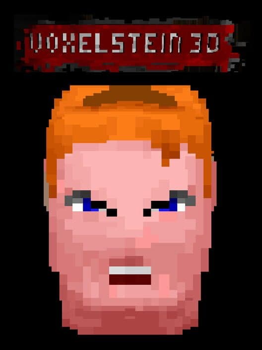 Обложка Voxelstein 3D