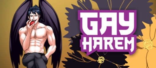 Обложка Gay Harem