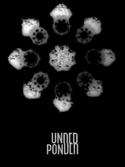Обложка Underponder