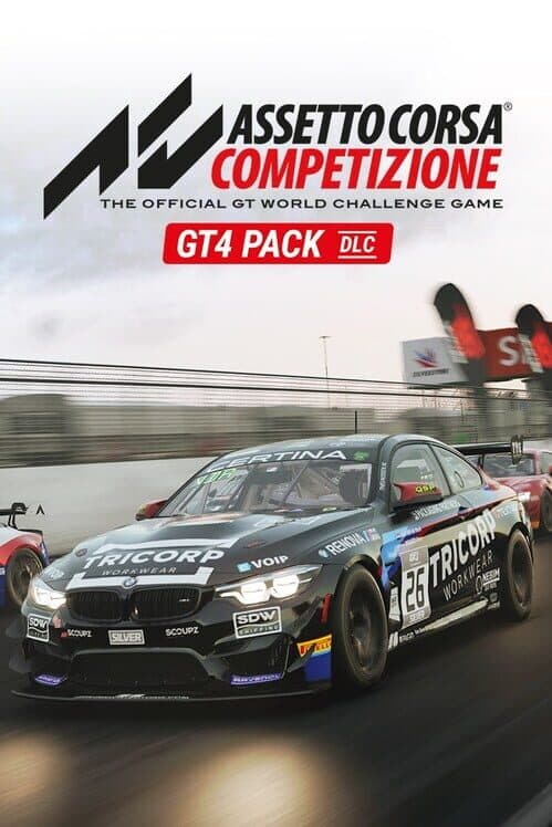 Обложка Assetto Corsa Competizione: GT4 Pack DLC