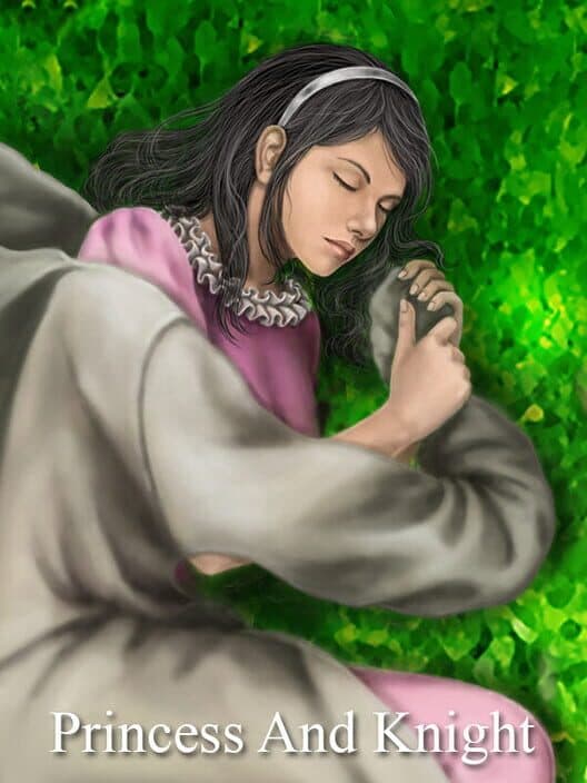 Обложка Princess and Knight