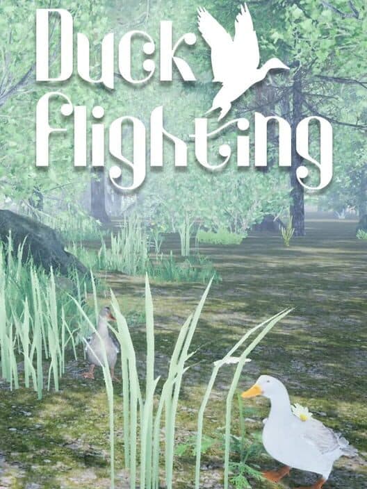 Обложка Duck Flighting