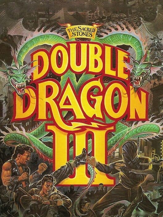 Обложка Double Dragon III: The Sacred Stones