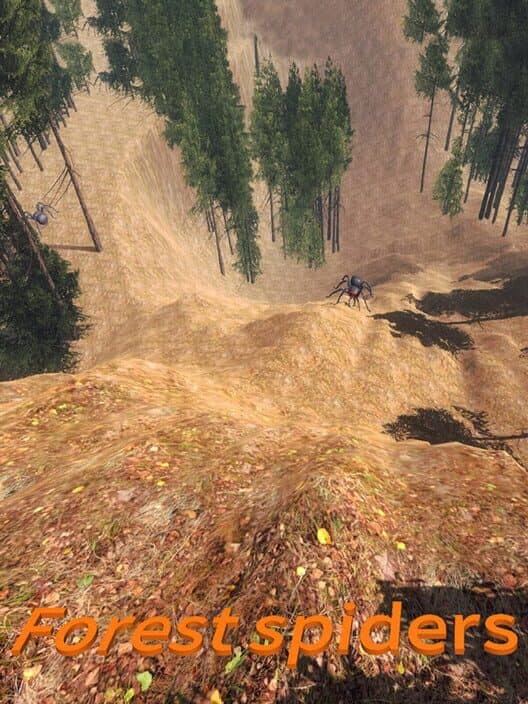 Обложка Forest spiders