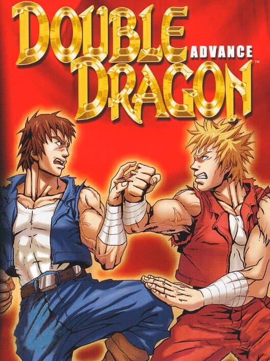 Обложка Double Dragon Advance