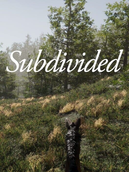 Обложка Subdivided